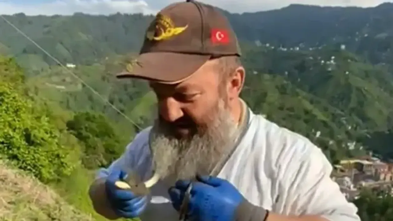 Tuttuğu yılanın önce güzelliğini anlattı, sonra kolye gibi boynuna doladı