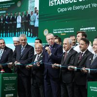 Siyaset
