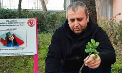 Çanakkale Zaferi ve Şehitler haftasında gül fidanları toprakla buluştu
