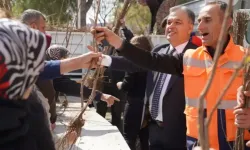 Çan Belediyesi’nden vatandaşa ücretsiz meyve fidesi desteği