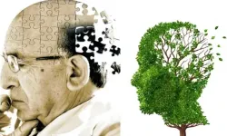 Yapay zeka entegrasyonlu MR cihazları ‘Alzheimer’ı erken sezebilecek