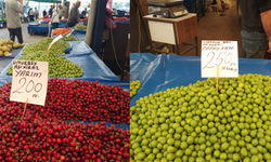 Çanakkale’de yaz meyveleri el yakıyor: Kiraz 400 TL, Erik 250 TL