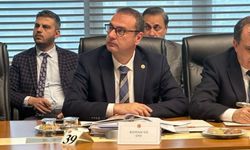 Milletvekili Uz Kartalkaya yangınını araştırma komisyonunda konuştu