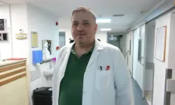 Havalar ısındı, kene kabusu başladı