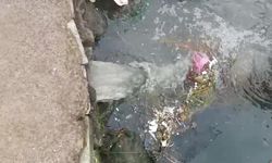 Marmara Denizi'nde kirliliğe neden olmuştu! Ceza yağdı!