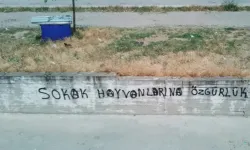 ‘Sokak hayvanlarına özgürlük’