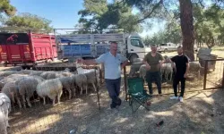 “Bayram Bayramiç’te güzeldir”