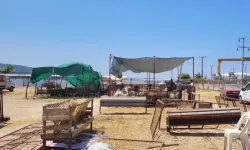 Çanakkale’de Kurban Pazarı beklenen ilgiyi gördü mü?