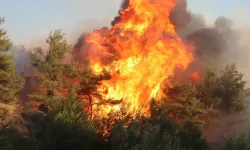 Çanakkale’de farklı noktalarda yangın çıktı
