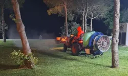 Kenelere karşı ilaçlama ile önlem
