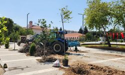 Cumhuriyet Meydanı yeniden yeşilleniyor