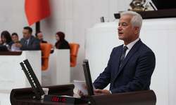 CHP'li Güneşhan: “İklim Yasası halkın lehine olmalı”
