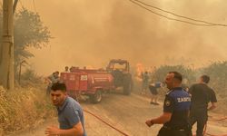 İzmir yangınlarla boğuşuyor Çanakkale’den destek sürüyor
