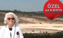 "Kazdağları’nı çöle çevirdiler, geç olmadan projenin iptalini talep ediyoruz"