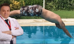 Havuz ve denizde balıklama atlarken iki kere düşünün