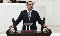 Milletvekili Uz: "Bu yasa; hayvancılığa, köylüye büyük darbe vuracaktır