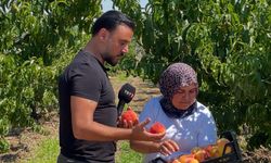 'Alişan İle Hayata Gülümse' çekimleri Lapseki’de yapıldı