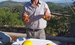 Ayvacıklı eski muhtarın cansız bedenine ulaşıldı