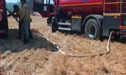 Akçansa’dan Çanakkale’deki Yangınların Söndürülmesine Destek