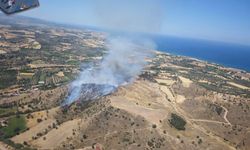 Ayvacık Kösedere’de orman yangını