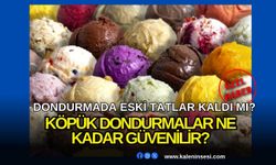 Yaz ayının vazgeçilmezi dondurma, eski tatlar kayboldu mu?