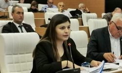 CHP'li Pehlivan'dan madenciliğe tepki: "Bunun adı idari dolandırıcılıktır"