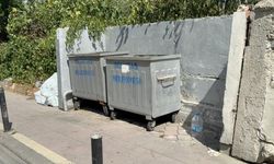 Çöpe atılmış bebek cesedi bulundu!