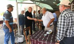 Milletvekili Ayhan Gider yangın bölgesinde!
