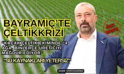 Bayramiç'te kaçak çeltik kriz konusu