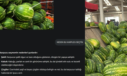 Karpuz seçimini de mi yapay zeka yapacak?