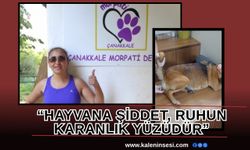 "Hayvana şiddette caydırıcı cezalar şart!"