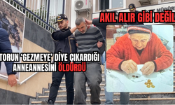 Gezmeye Diye Çıkarttığı Anneannesinin Canına Kıydı