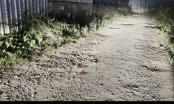 Depoya kurşun yağmuru: Avukat hayatını kaybetti, kardeşi yaralandı