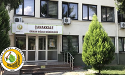 YANGIN EMNİYET YOL VE ŞERİTLERİ PLANI YAPIMI HİZMETİ ALINACAKTIR