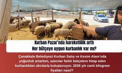 Çanakkale Kurbanlık Pazarı'nda Kurbanlıklar ne kadardan başlıyor?