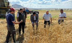 Ayvacık’ta biçerdöver hasadına yerinde inceleme