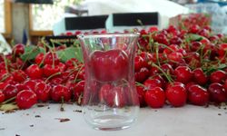 Lapseki Kirazında Rekor Boyut, Rekor Fiyat