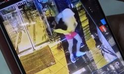 Böyle hırsızlık görülmedi: Dükkan sahibi şok oldu