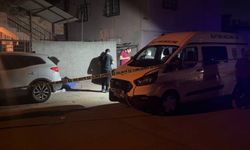 Kardeş cinayetinin nedeni kira geliri çıktı