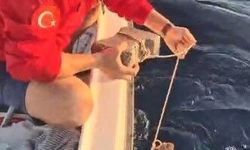 Böyle vicdansızlık görülmedi: "Deniz kaplumbağasının ayağına kaldırım taşı bağlamışlar"