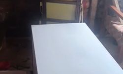 Bir günde 20 eve giren ayı yayla sakinlerini canından bezdirdi