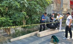 Kaybolan kedisini ararken ceset buldu