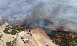 Ezine Kiremitoba’da Orman Yangınına Havadan ve Karadan Müdahale