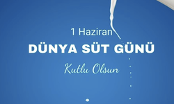Dünya Süt Günü’nde Sağlıklı Beslenme Önemli!