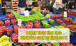 Çanakkale'de Yaz Bereketi Tezgâhlara Yansıdı: Kirazın Kilosu 500 TL