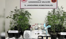 Çanakkale dahil 45 ilde "Narko Pars" operasyonlarında 352 şüpheli yakalandı
