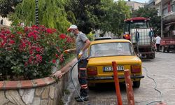 Lapseki’de haşere ve zararlılara karşı etkin mücadele!