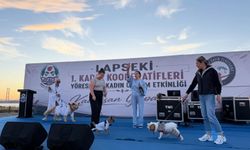 Lapseki’de eğlence dolu gece
