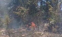 Küçükkuyu’da çıkan yangın söndürüldü!