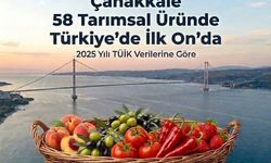 Çanakkale, 58 Tarımsal Üründe Türkiye'nin İlk 10'u Arasında